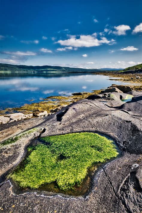 Seaweed Pool By The Loch Scotland Photograph By Stuart Litoff Fine