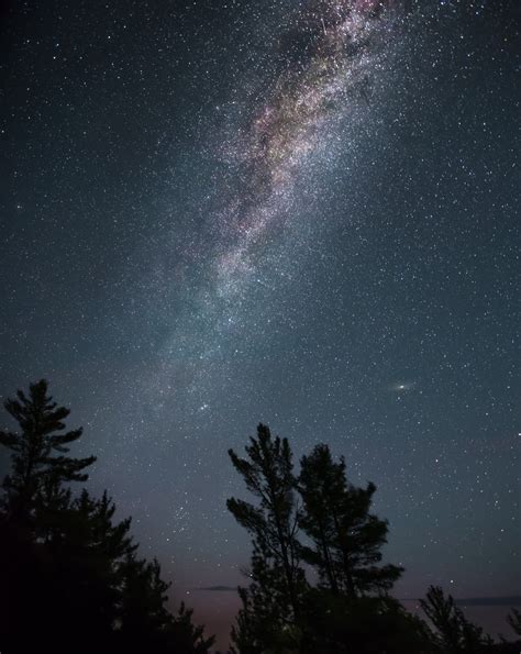 Free Images Tree Nature Sky Night Star Milky Way Darkness