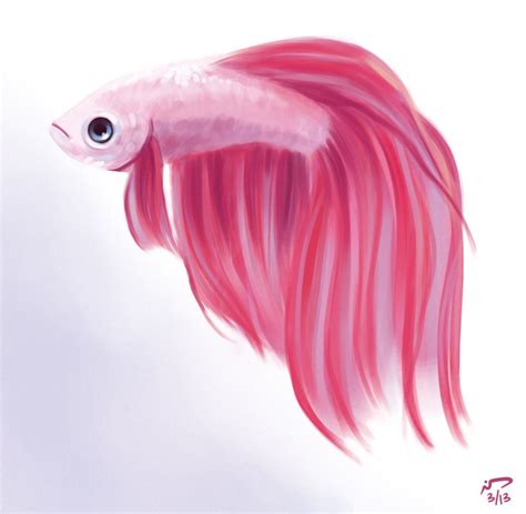 On Deviantart Watercolor Fish