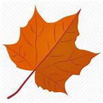 Fall Prevention Awareness Leaves Leaf Autumn Icon