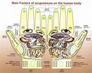 Accupressure Points Reflexology Hand Chart Reflexology Points