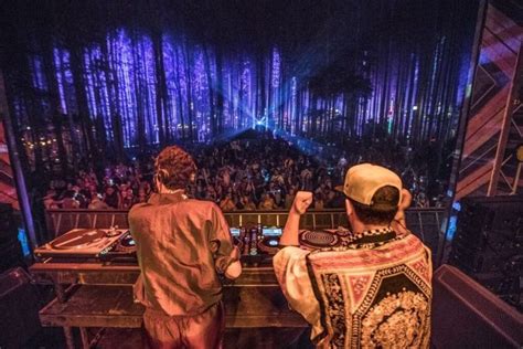 Electric Forest Photos The Amazing Artists Hedonist Shedonist