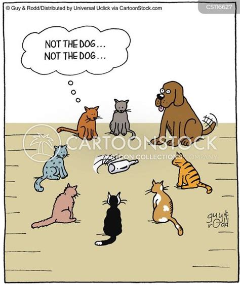 A Cat Dog Cartoon
