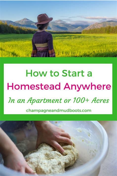 Step By Step Guide For How To Start Homesteading Regardless Of Where