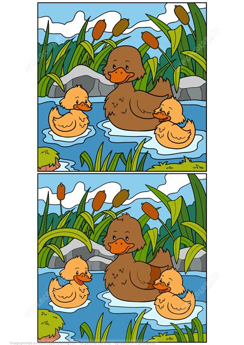 Find 12 Differences Between Pictures Of Ducks Puzzle Free Printable
