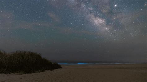 The Milky Way And Bioluminescent Plankton