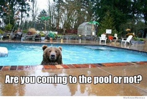 50 Funny Pool Memes To Get You Excited For The First Day Of Summer