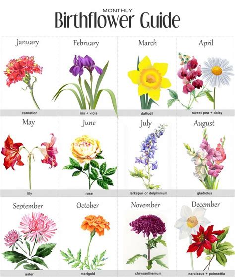 Birthstone chart by month official birthstone chart. 9 Moments That Basically Sum Up Your Birth Flower June in ...