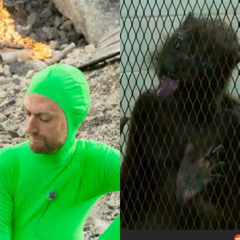 OTHER: Sean Gunn just can't catch a break from James Gunn : DC_Cinematic