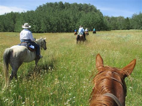 The 10 Best Wyoming Horseback Riding Tours Updated 2024