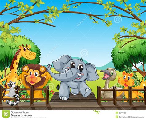 Group Of Wild Animals At The Bridge In The Forest Stock
