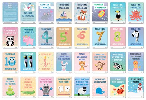 Baby Milestone Cards By Koko Blossom
