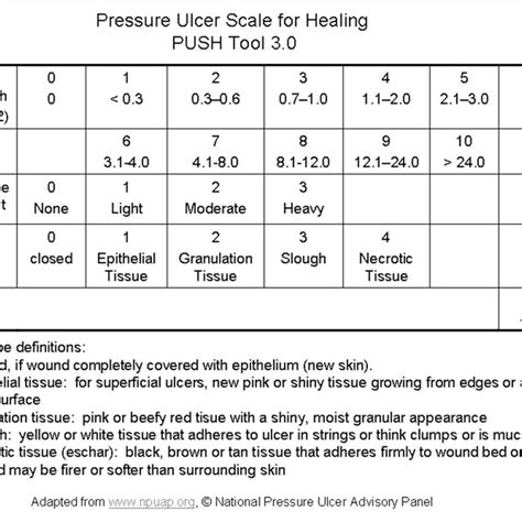 Pressure Ulcer Scoring