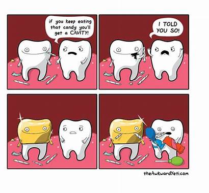 Cavity Teeth Awkward Yeti Characters Tooth Dental