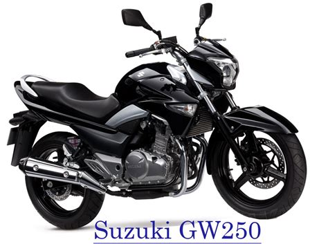 Suzuki is the japanese automotive brand under this rancon wing officially formed in 2013 promising the official distribution of suzuki motorcycles. Suzuki GW250 to introduce in Second Half of 2013