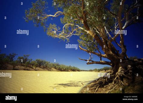 Cooper Creek Western Queensland Australia Stock Photo Alamy
