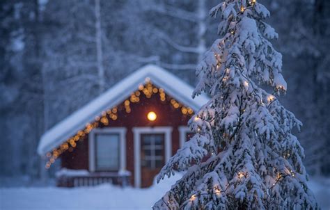 Wallpaper Winter House Spruce Garland Finland Finland Lapland
