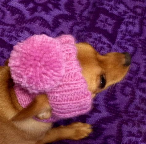 Hat Knitted Dog Pet Hat Hat Warm Dog Hat Winter Dog Hat Puppy Etsy