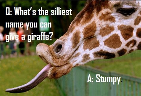 giraffe puns jokes and pick up lines