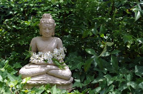 What The Buddha Taught About Karma And Rebirth
