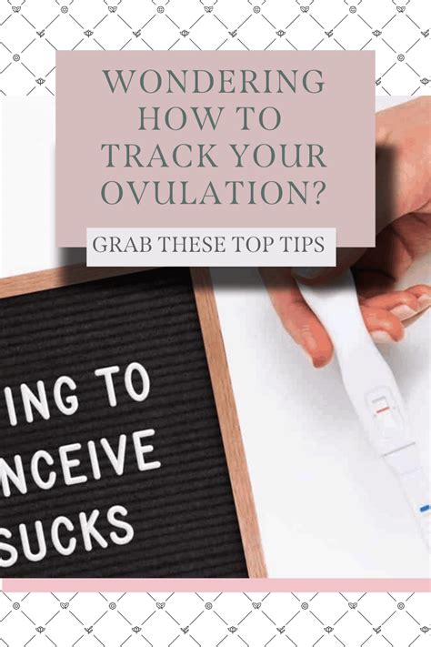 How To Track Ovulation Expert Guide To 7 Tracking Methods