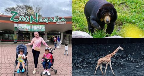 Zoo Negara Malaysia Opening Hours And Best Time To Visit Klook