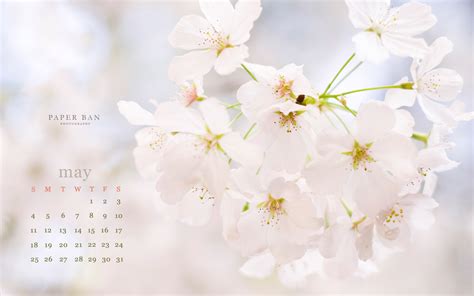 May Backgrounds For Desktop Wallpapertag Rezfoods Resep Masakan
