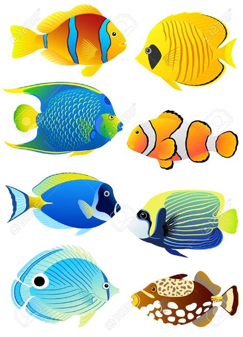 Stock Vector Tropical Fish Pictures Colorful Fish
