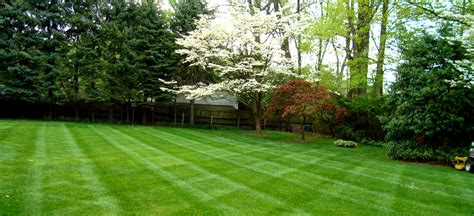 Get free quotes in minutes from reviewed, rated 972 lawn care experts near you. Lawn Care Near Me - Services, Checklist And Free Quotes in ...