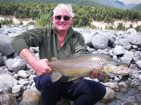 Fly Odyssey Newsletters Huge Nz Brown Trout