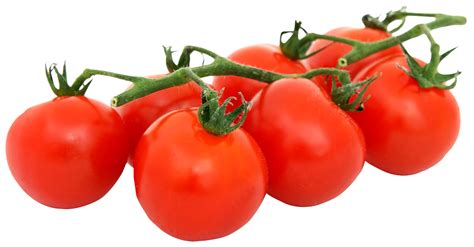 Collection Of PNG Tomato PlusPNG