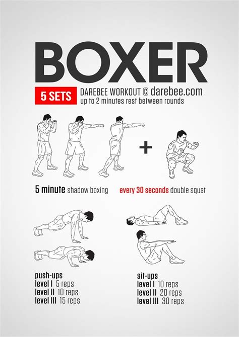 Boxing Workout No Weights In Boxer Workout Boxing Training Workout Home Boxing Workout