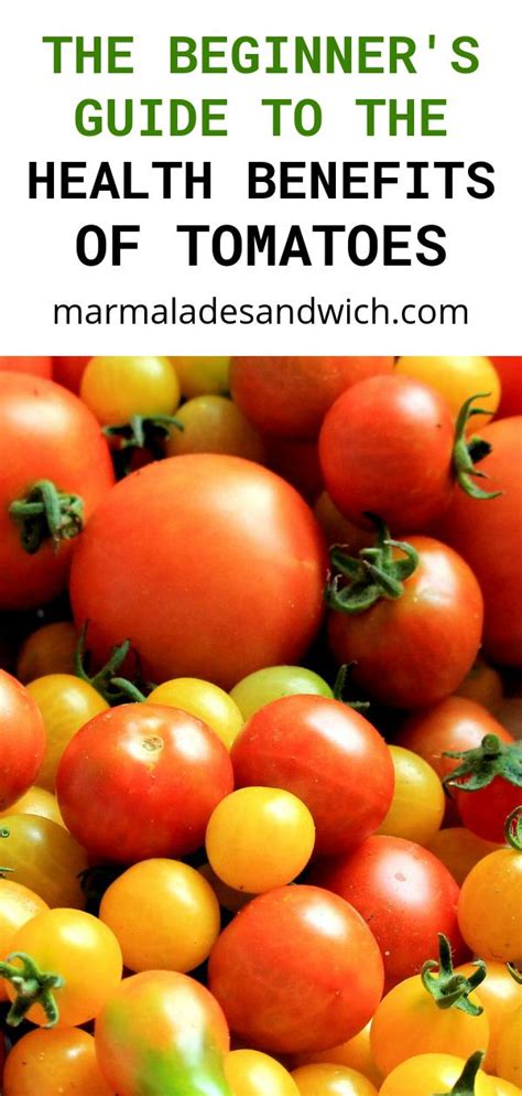 health benefits of tomatoes a beginners guide marmalade sandwich