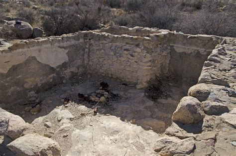 Quail Springs Joshua Tree National Park — Cali49