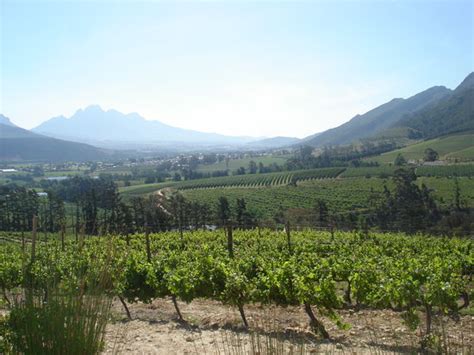 Dieu Donne Vineyards And Views Franschhoek 2021 All You Need To Know
