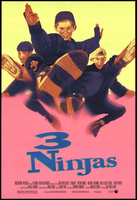 3 Ninja Kids 1993