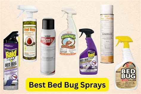 9 Best Bed Bug Sprays Of 2024 Reviews