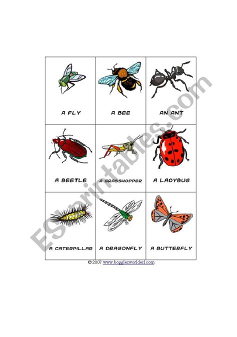English Worksheets Insect Bingo Board
