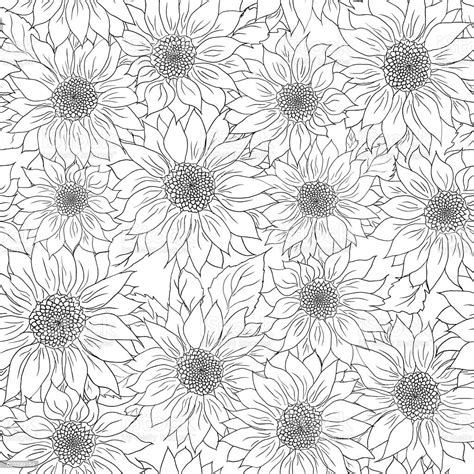 Hand Drawn Pattern Sunflowers Background Flower Black White Packaging