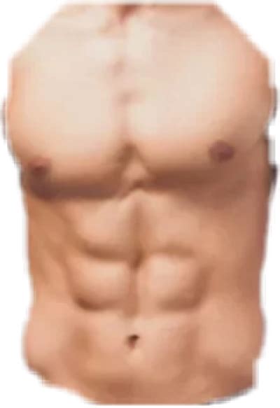Six Pack Abs Png For Picsart Free Cliparts Download Images On Clipground