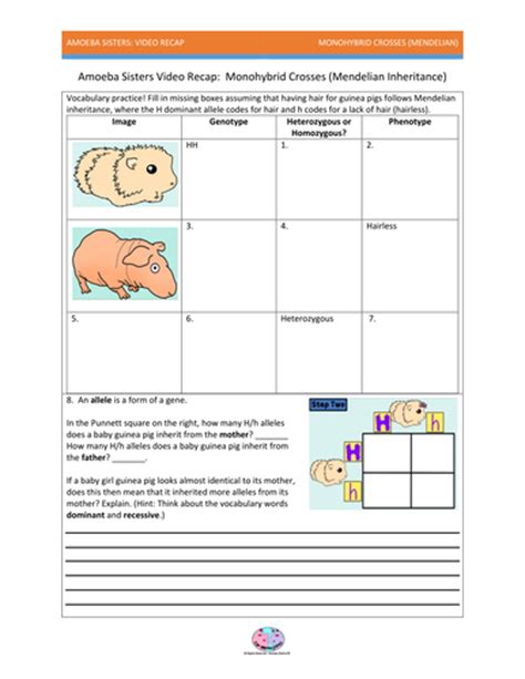 Some of the worksheets for this concept are monohybrid punnett square practice, chapter 10 dihybrid cross work, punnett squares dihybrid crosses, genetics work, monohybrid crosses and the punnett square lesson plan, dihybrid cross work, punnett square work, work dihybrid crosses. Monohybrid Crosses Worksheet Answers. Worksheets. Tutsstar ...