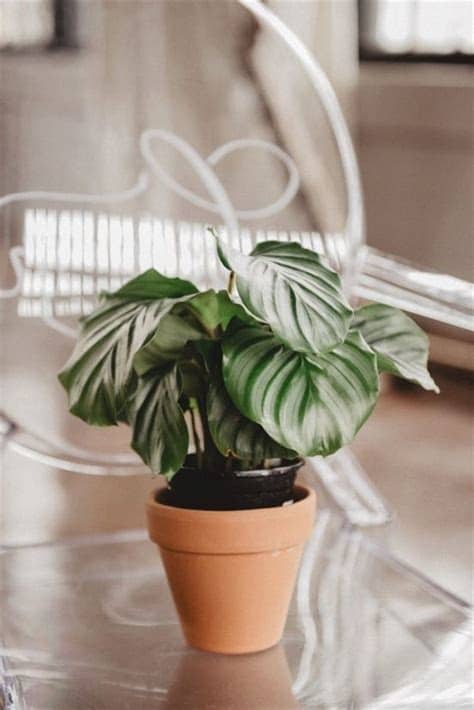 Shipping minimum order value determined after all other discounts applied. Discount Home Decor Catalogs - Home Decor