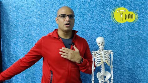 The pectoralis major covers the top half of your chest. PECTORALIS MAJOR MUSCLE - YouTube