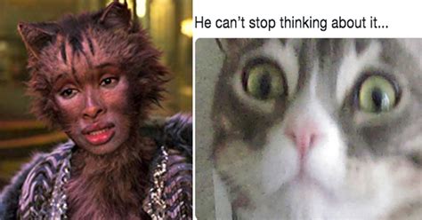 Cats Watching The Cursed Cats Trailer Are Just As Unimpressed As Us