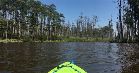 Kayak The Blackwater National Wildlife Refuge Cambridge Maryland