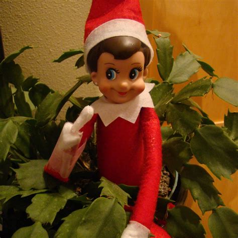 Angry Elf On A Shelf