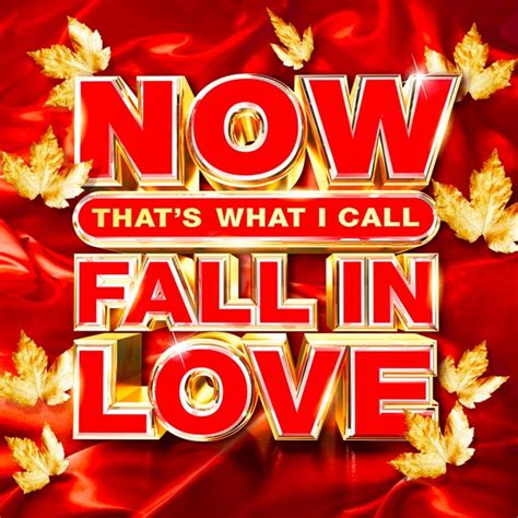 Download Va Now Thats What I Call Fall In Love 2020 Mp3 320kbps