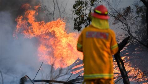 australian volunteer firefighter charged for allegedly lighting seven bushfires newshub