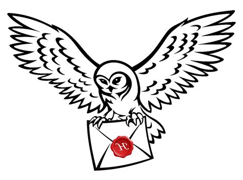 Owl Harry Potter Drawing Clip Art Image Harry Potter Owl Png Hedwig