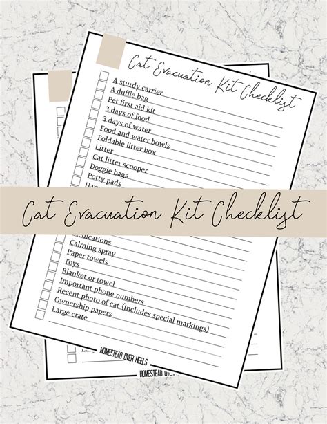 What You Need In Your Cats Evacuation Kit Free Checklist Evacuation
